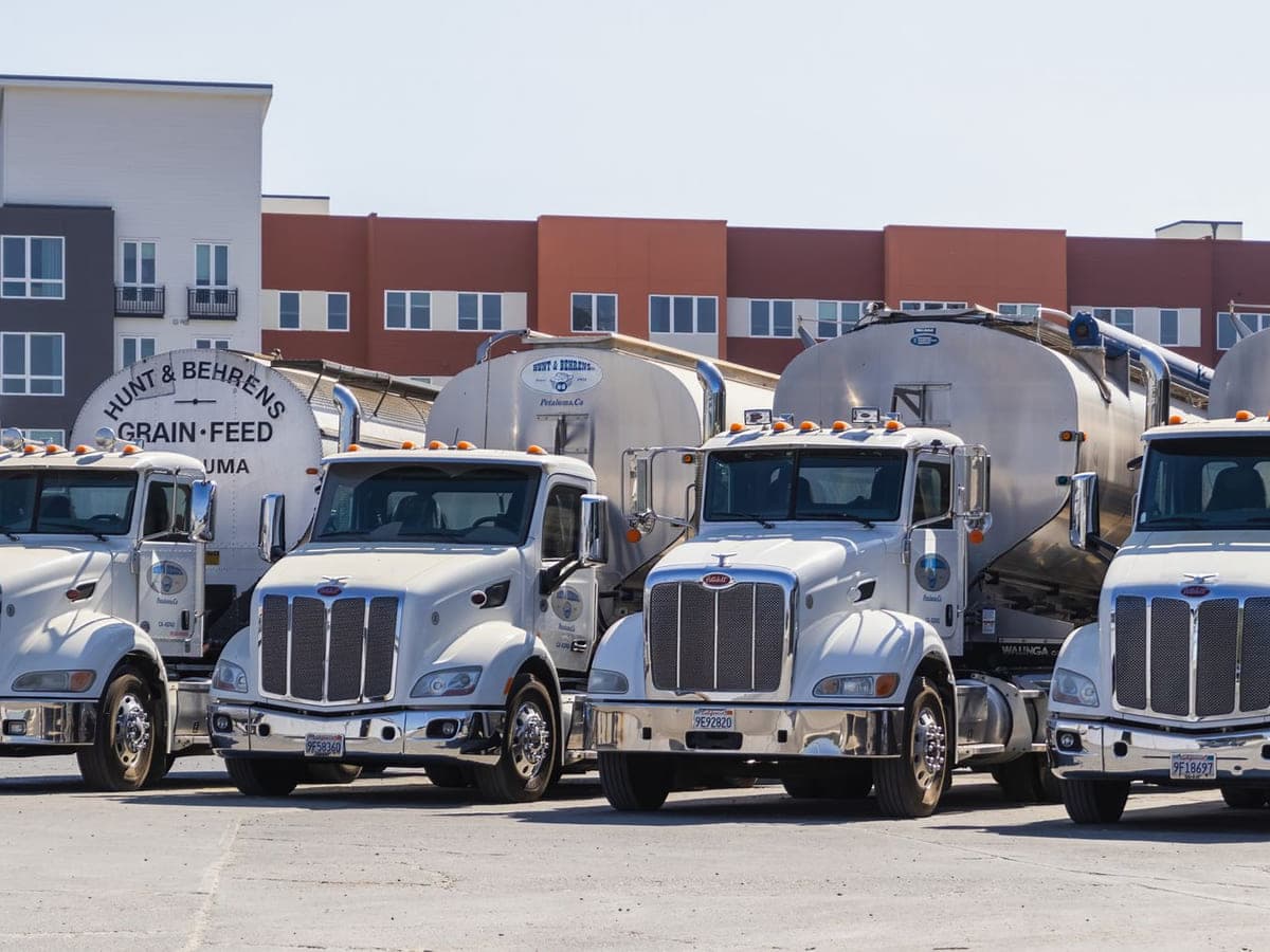 Commercial transport fleet parked at a depot